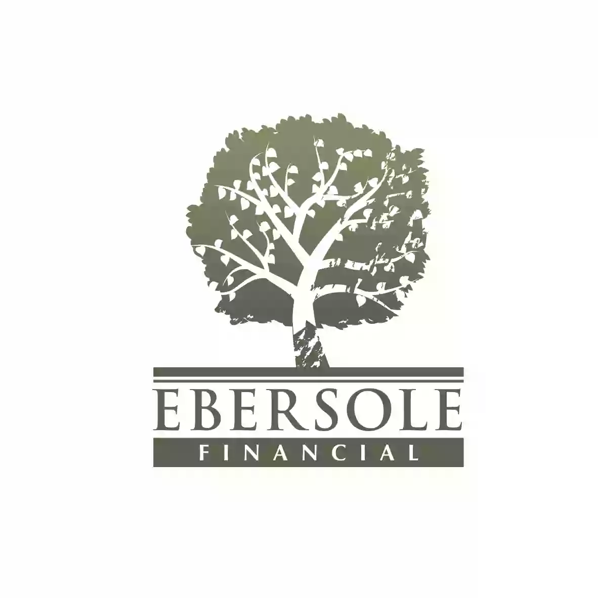 Ebersole Financial LLC