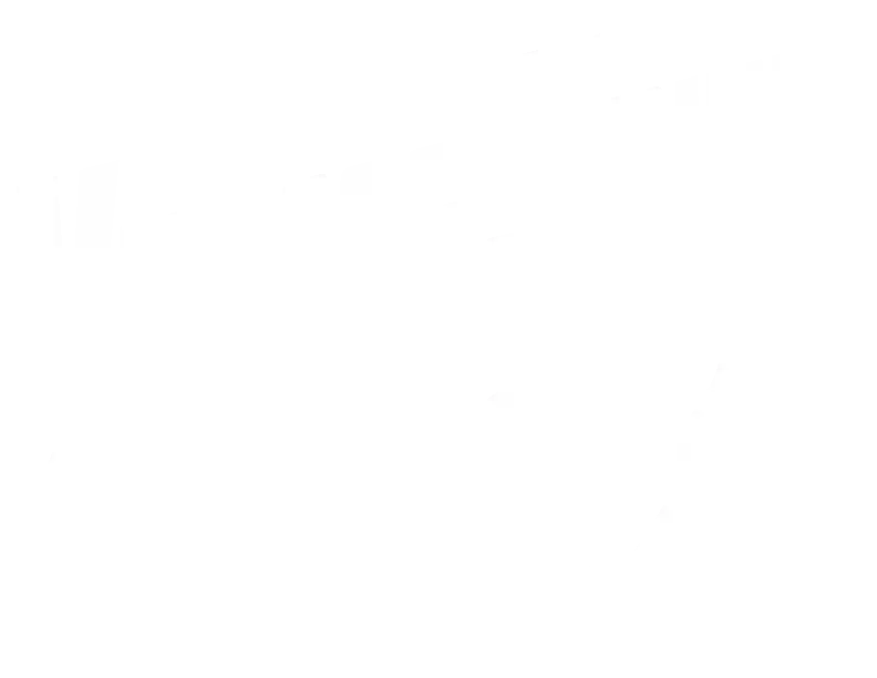 Village Vinyl & Hi Fi