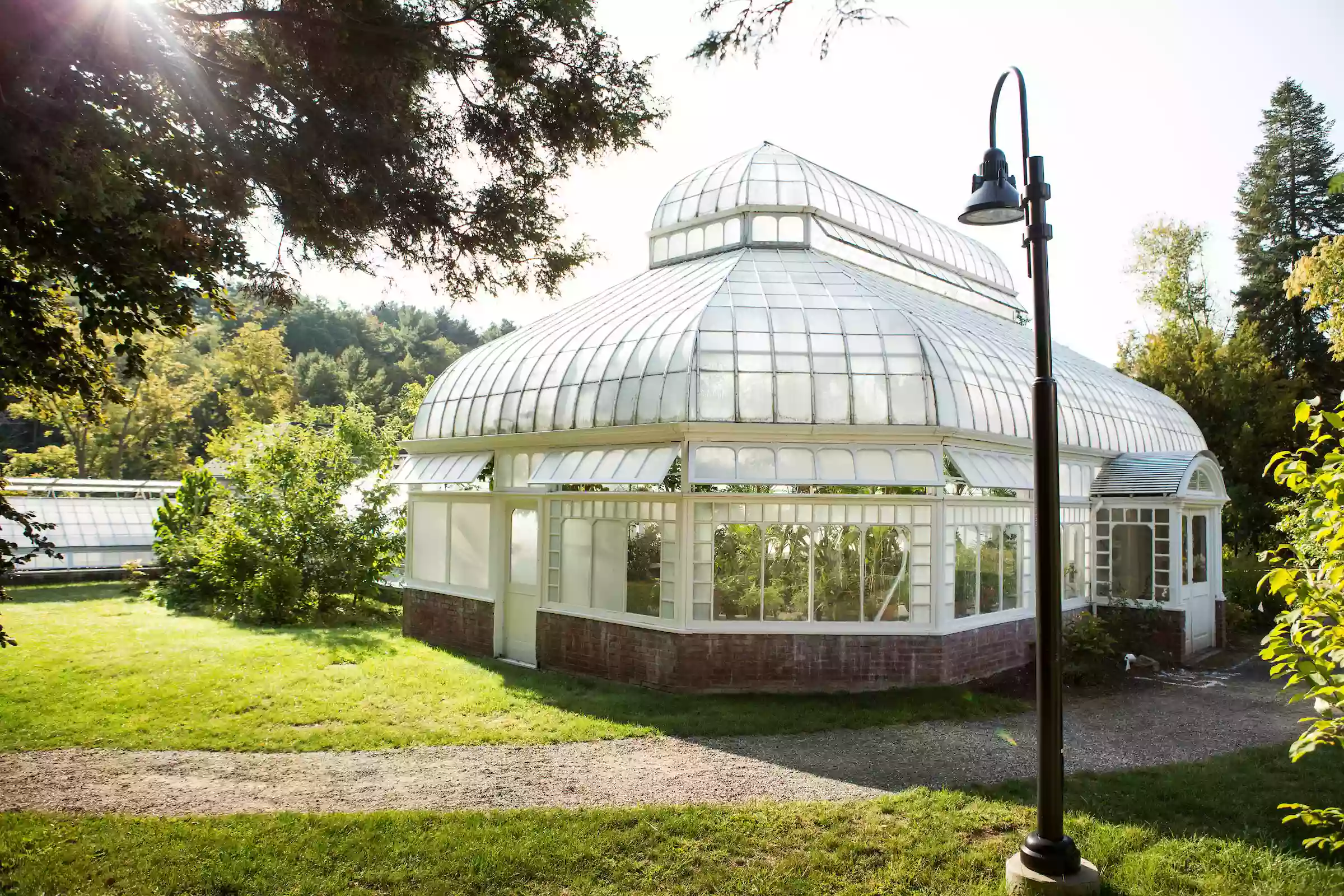 Talcott Greenhouse