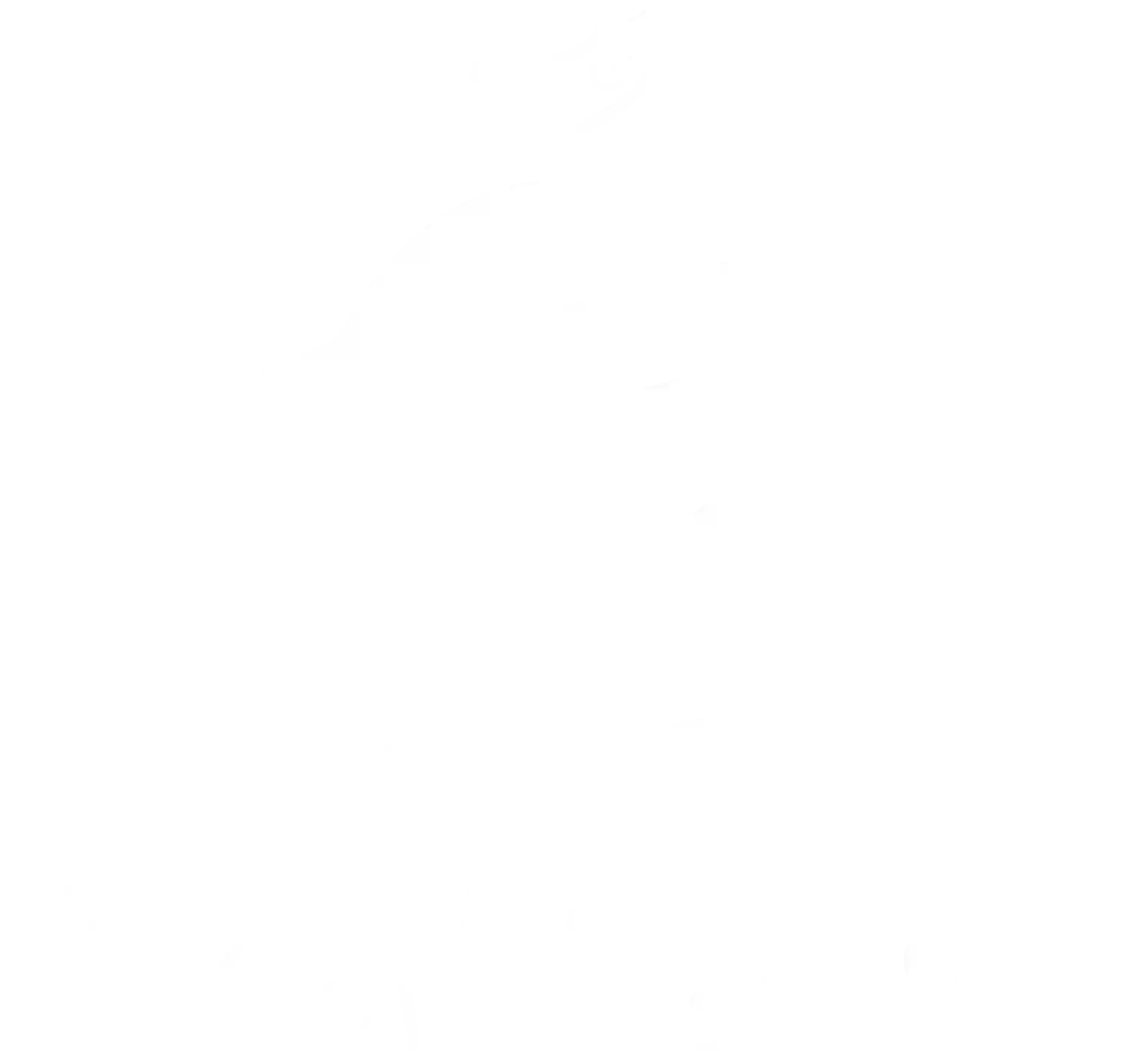 Newtowne School