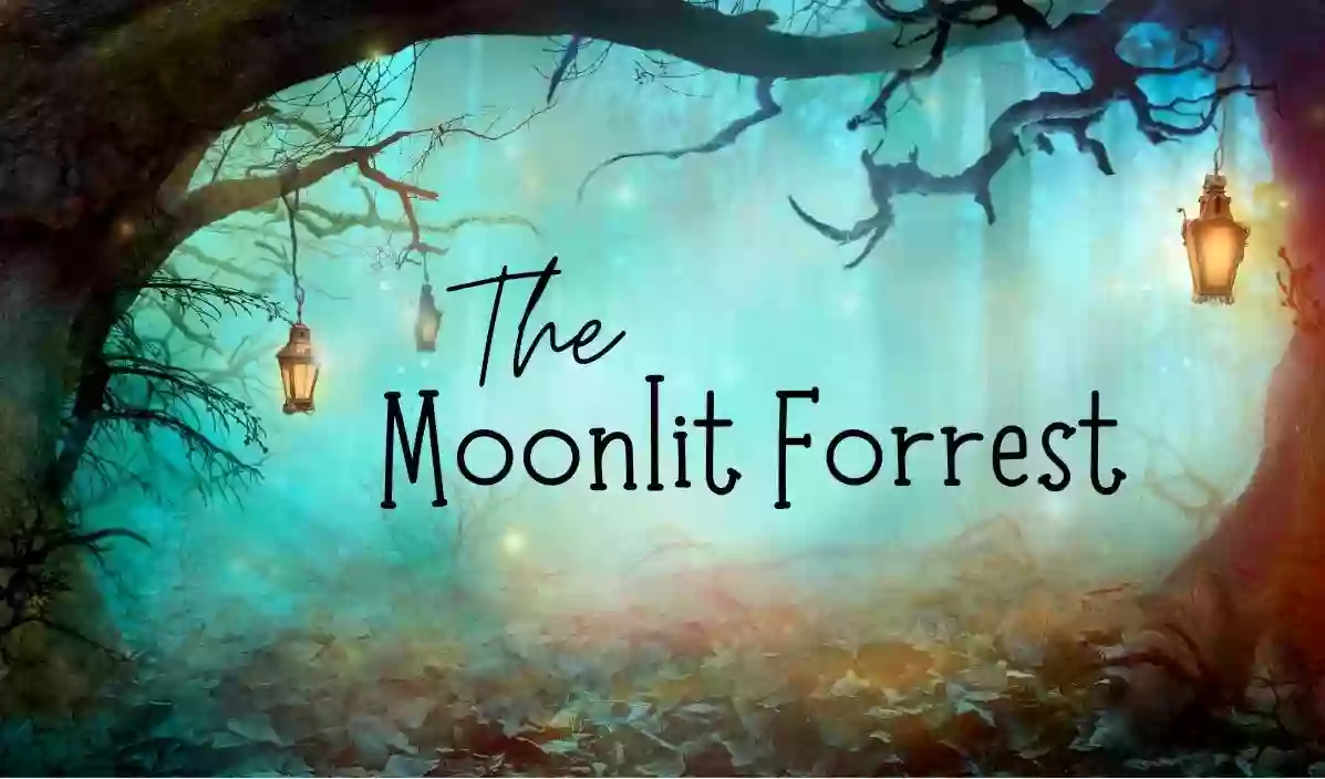 The Moonlit Forrest