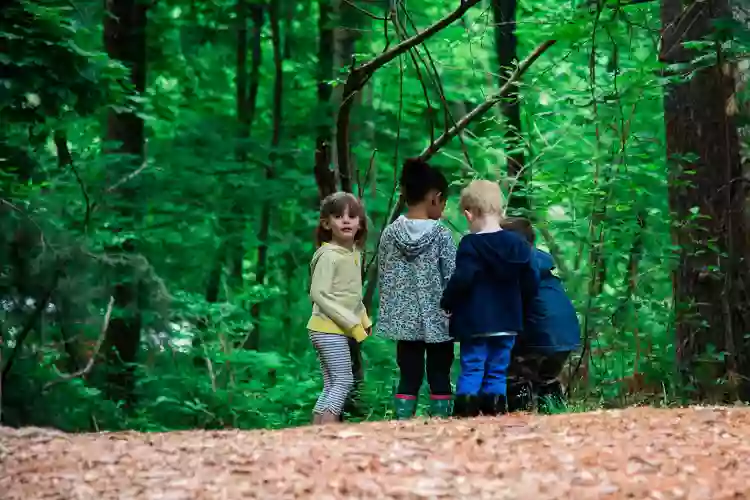 Mass Audubon Drumlin Farm Preschool