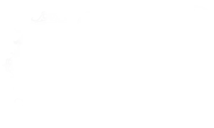 Holistic Ink Boston Tattoo Shop