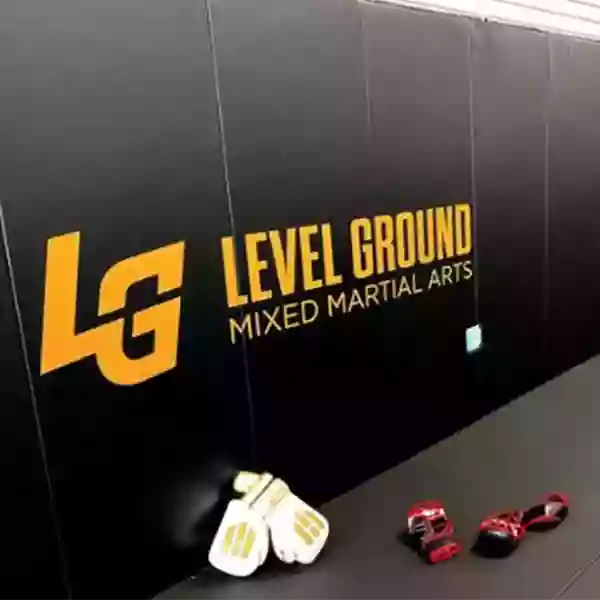 Level Ground Mixed Martial Arts