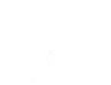 SOMERVILLE YMCA