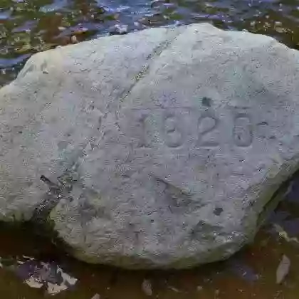 Plymouth Rock