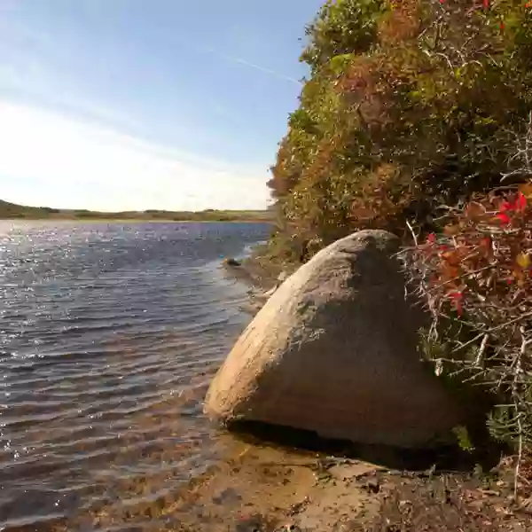 Cedar Tree Neck Sanctuary