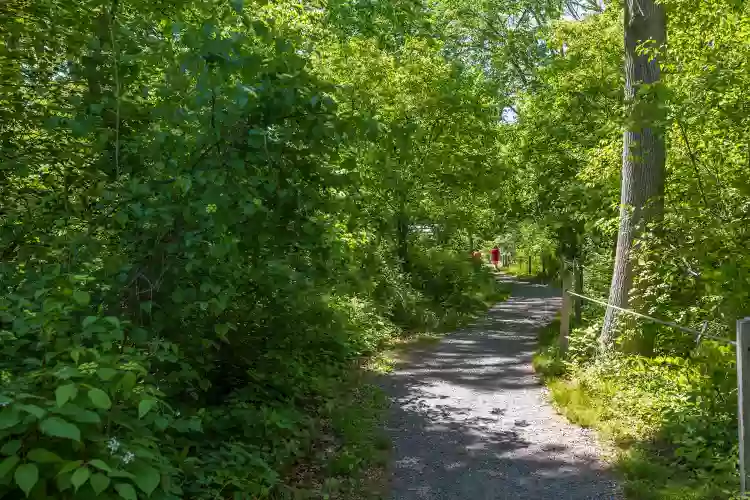 Mass Audubon's North River Wildlife Sanctuary