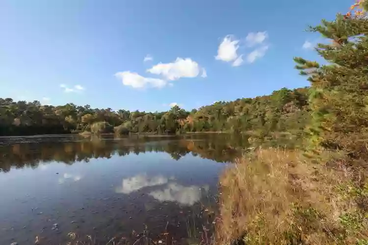 Skunknett River Wildlife Sanctuary