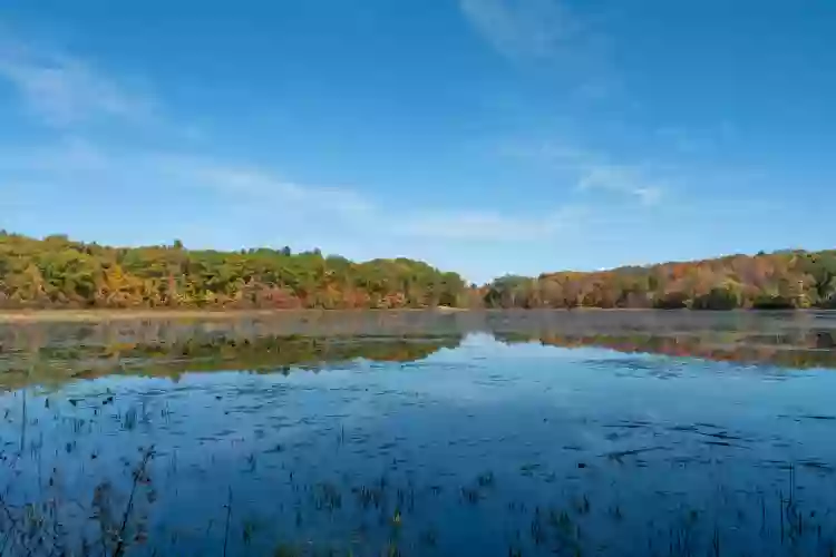 Mass Audubon's Eagle Lake Wildlife Sanctuary