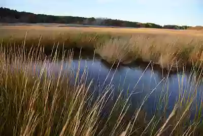 Wellfleet Conservation Trust