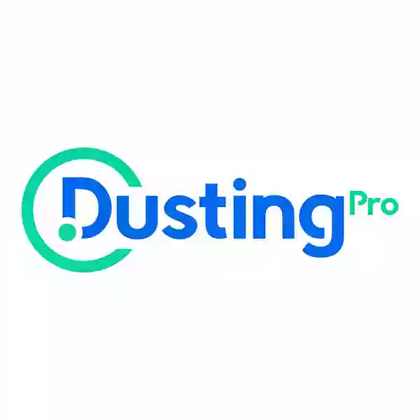 DUSTING PRO CLEANING