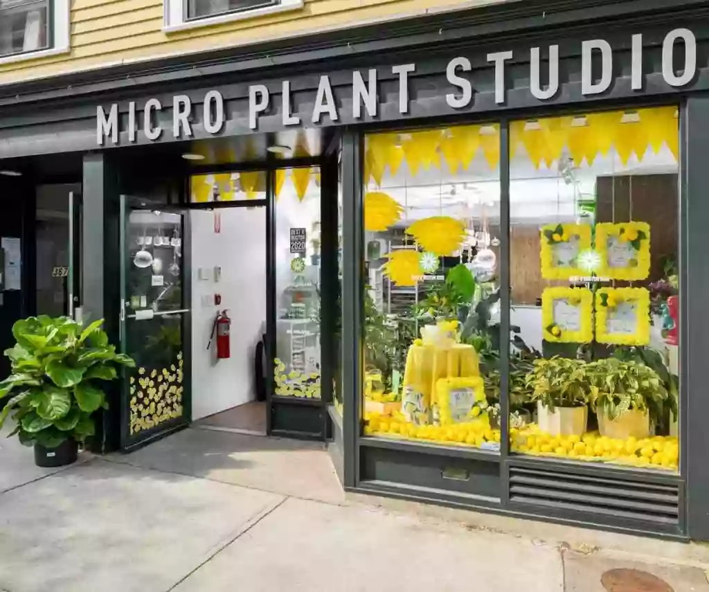Micro Plant Studio