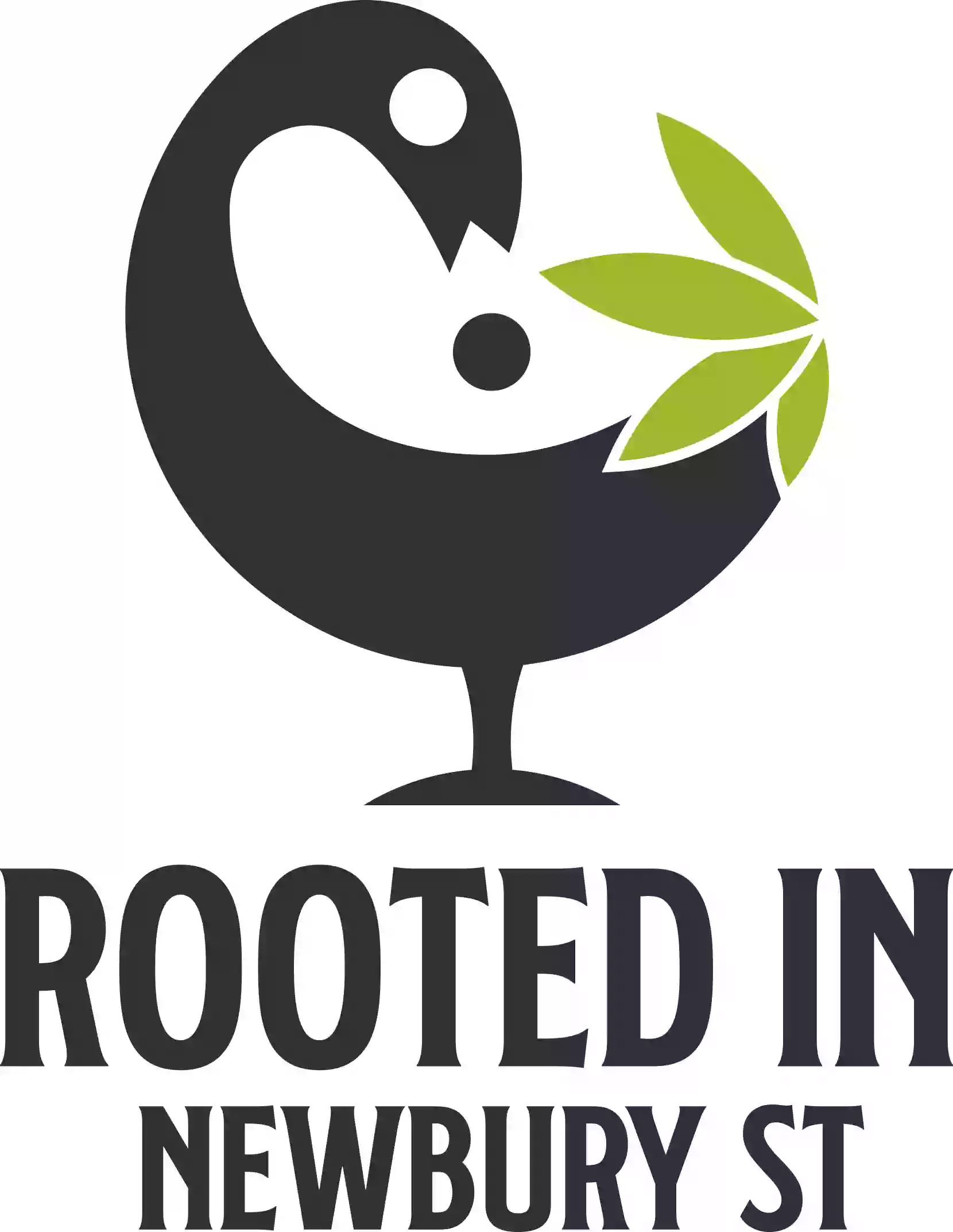 Rooted In - Boutique Cannabis Dispensary