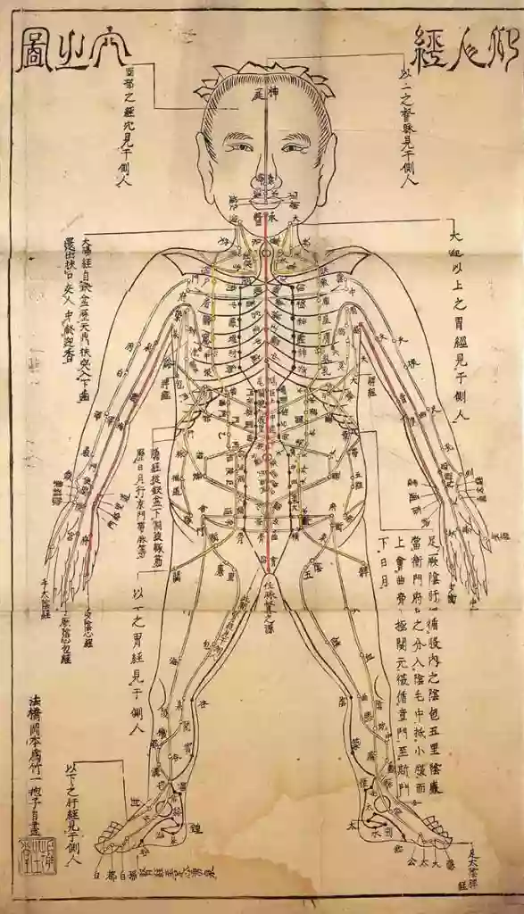 Acupuncture Therapy