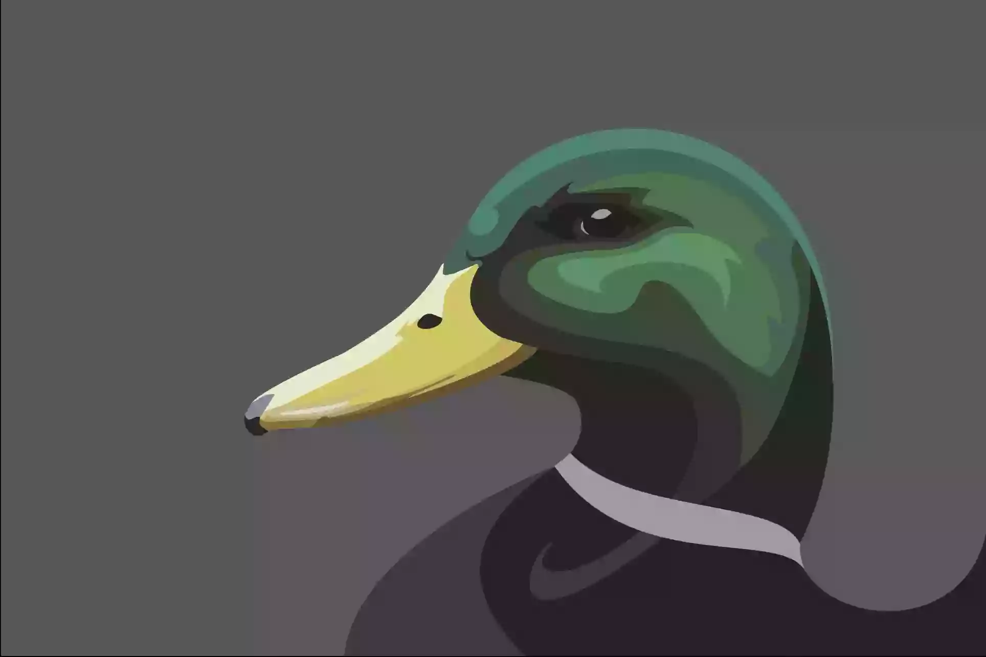 The Mallard