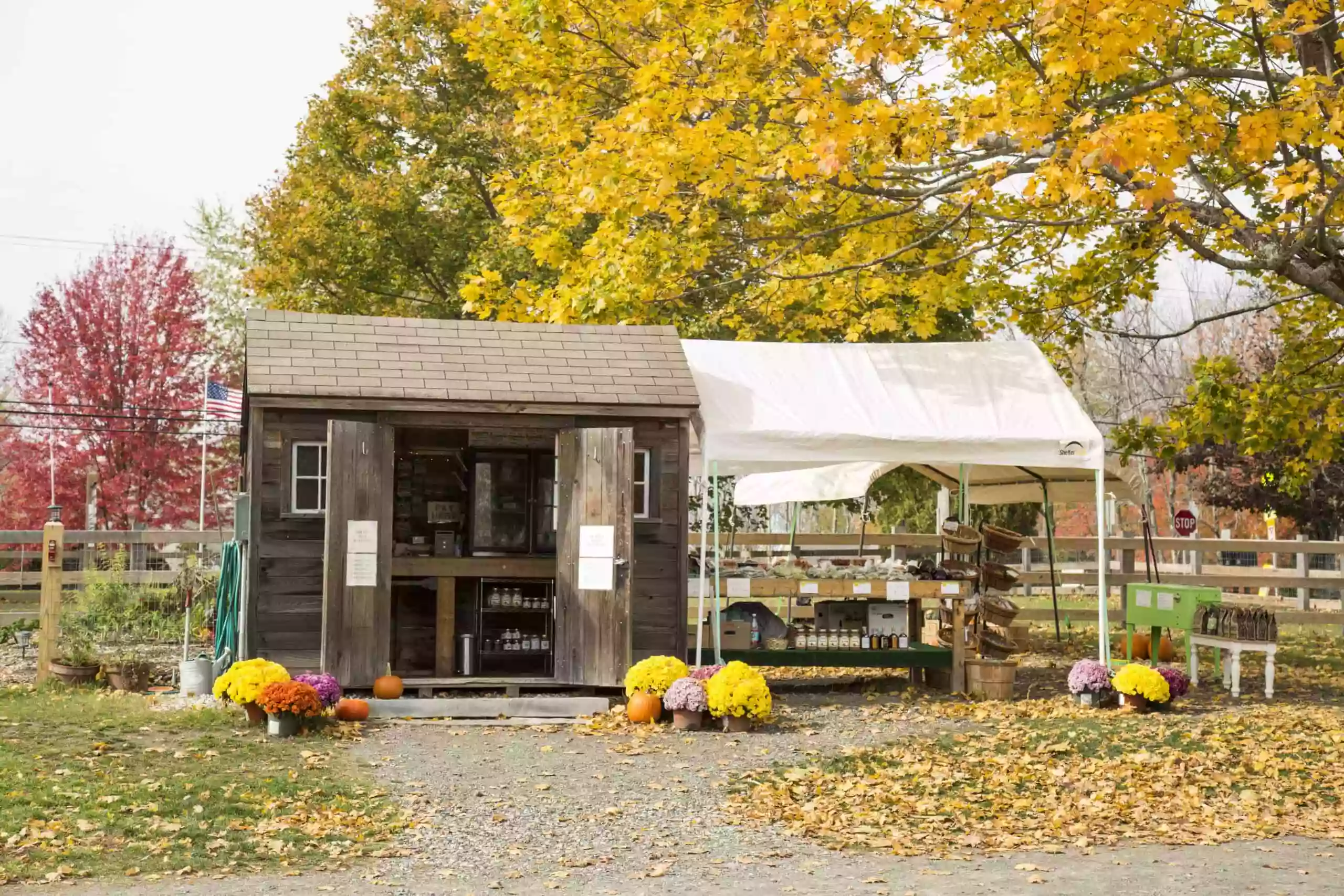 Oliver's Farm Stand