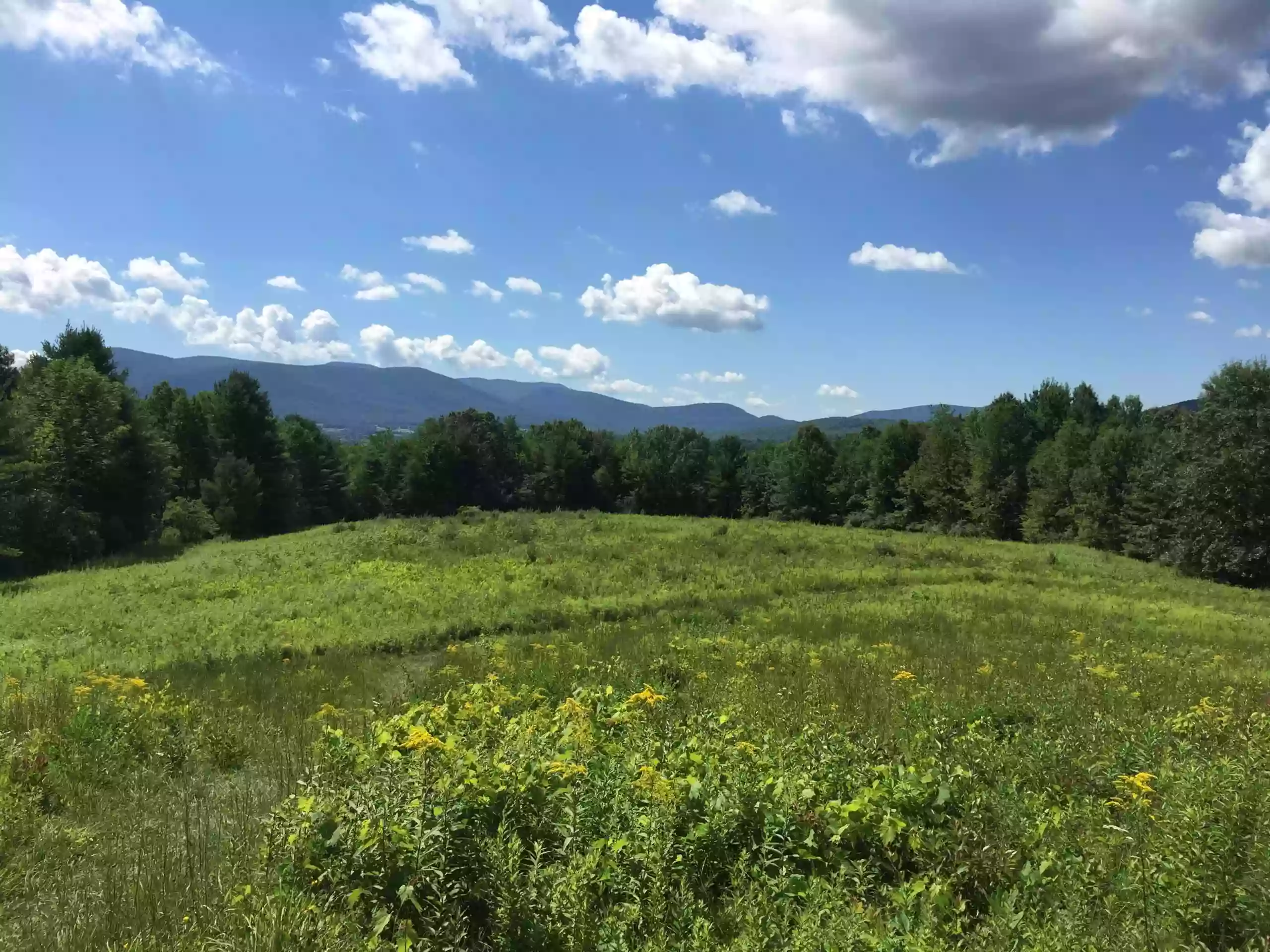 Mountain Meadow Preserve