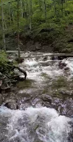 Money Brook Falls Trailhead