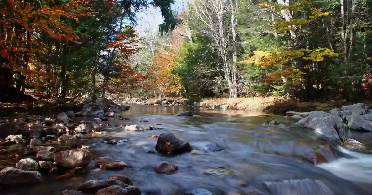 Coles Brook Preserve