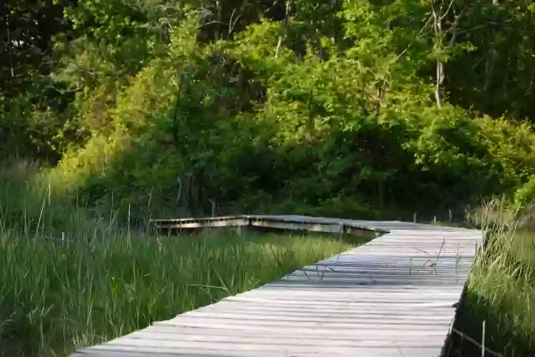 Nahant Thicket Wildlife Sanctuary Parking