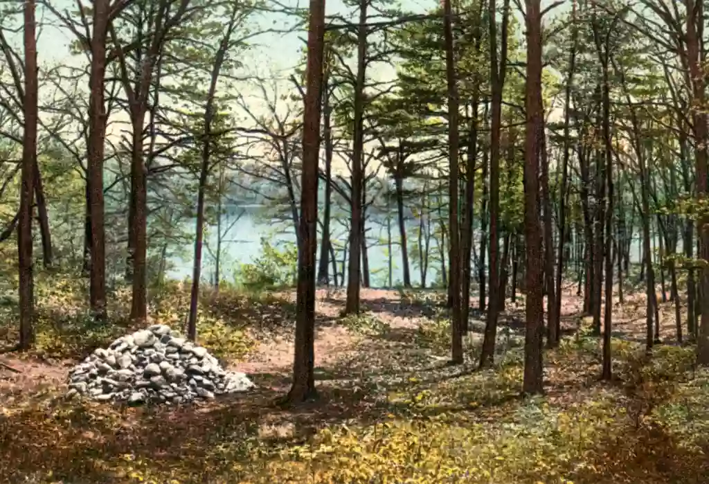 Thoreau Cabin Site