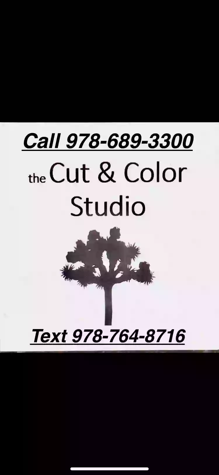 The Cut and Color Studio