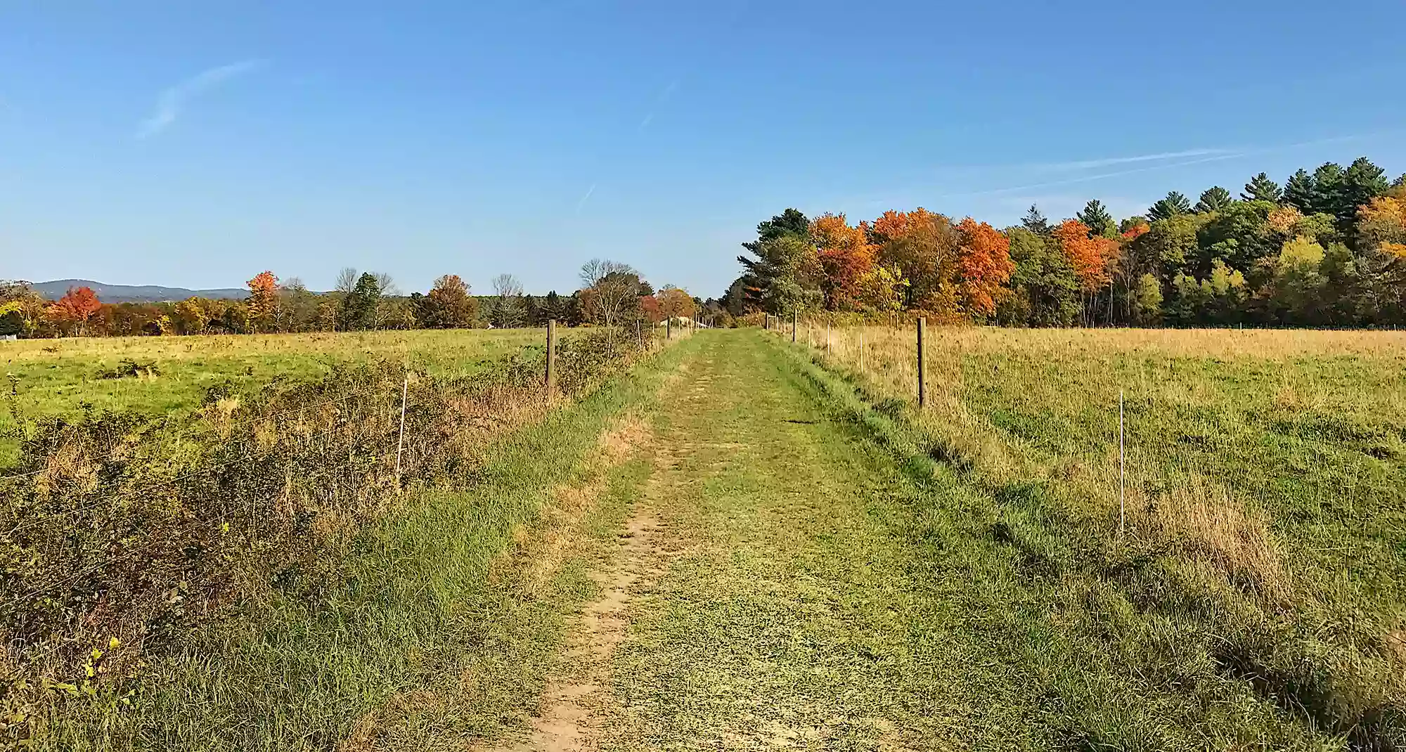 Moose Hill Farm Reservation