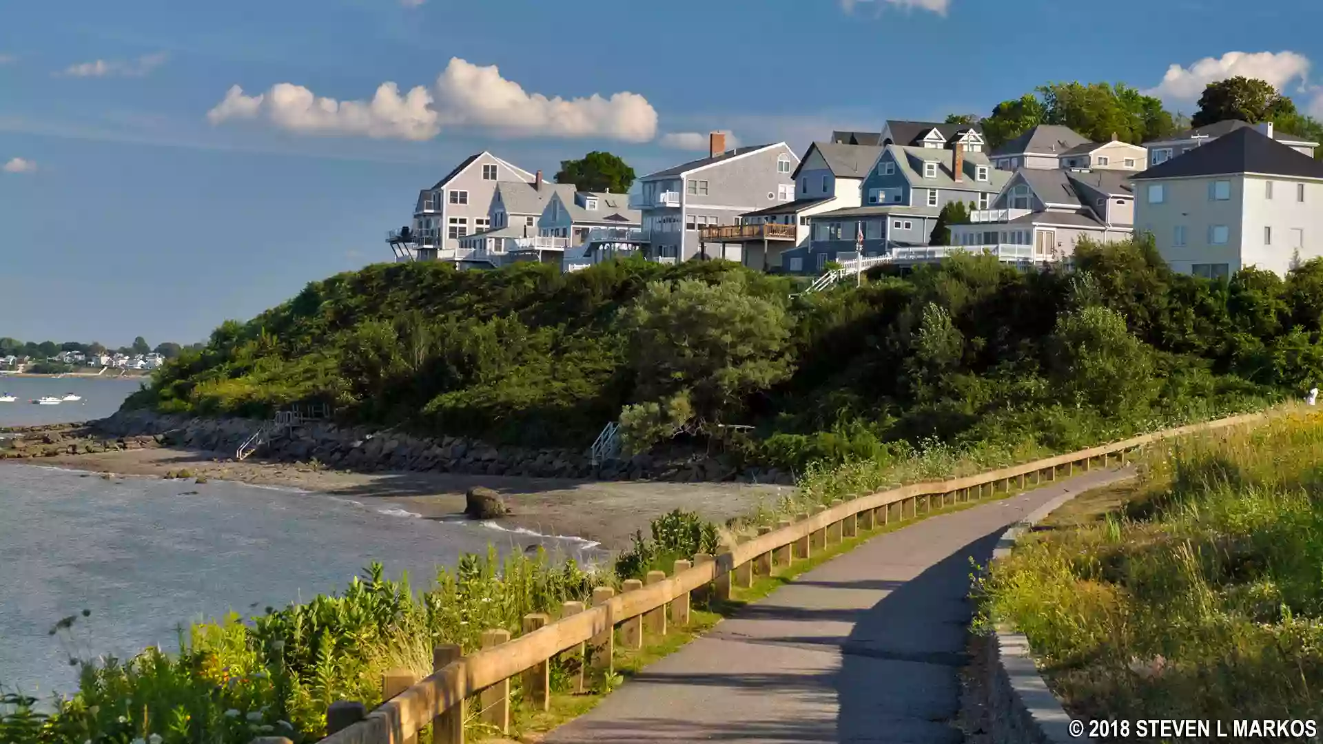 Nut island hough's neck