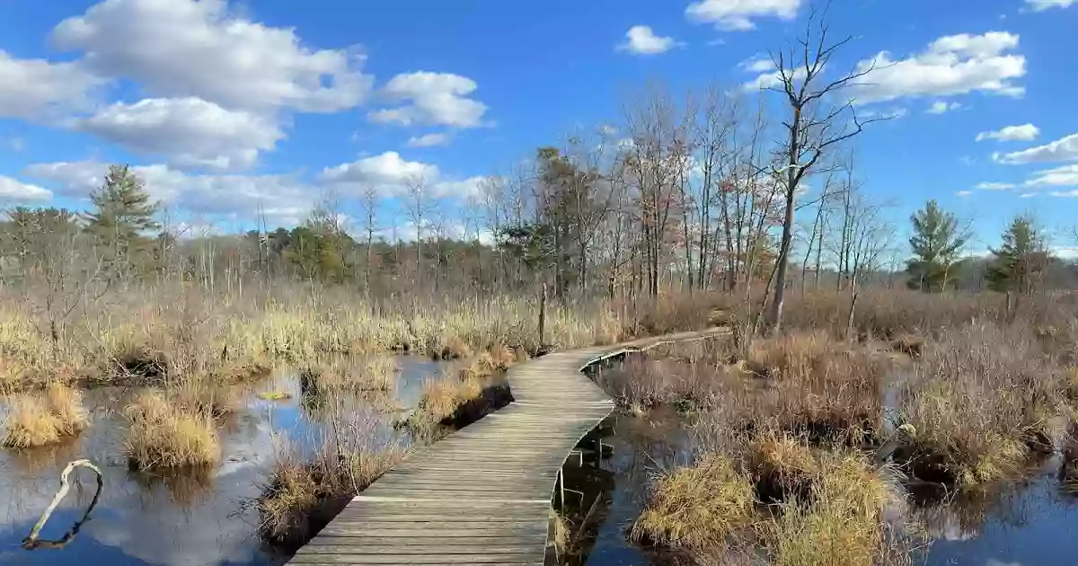 Danvers-Wenham Swamp Walk