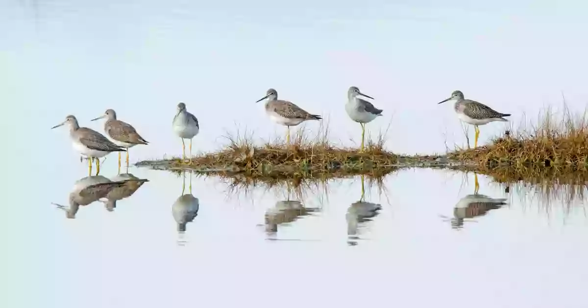 Parker River National Wildlife Refuge