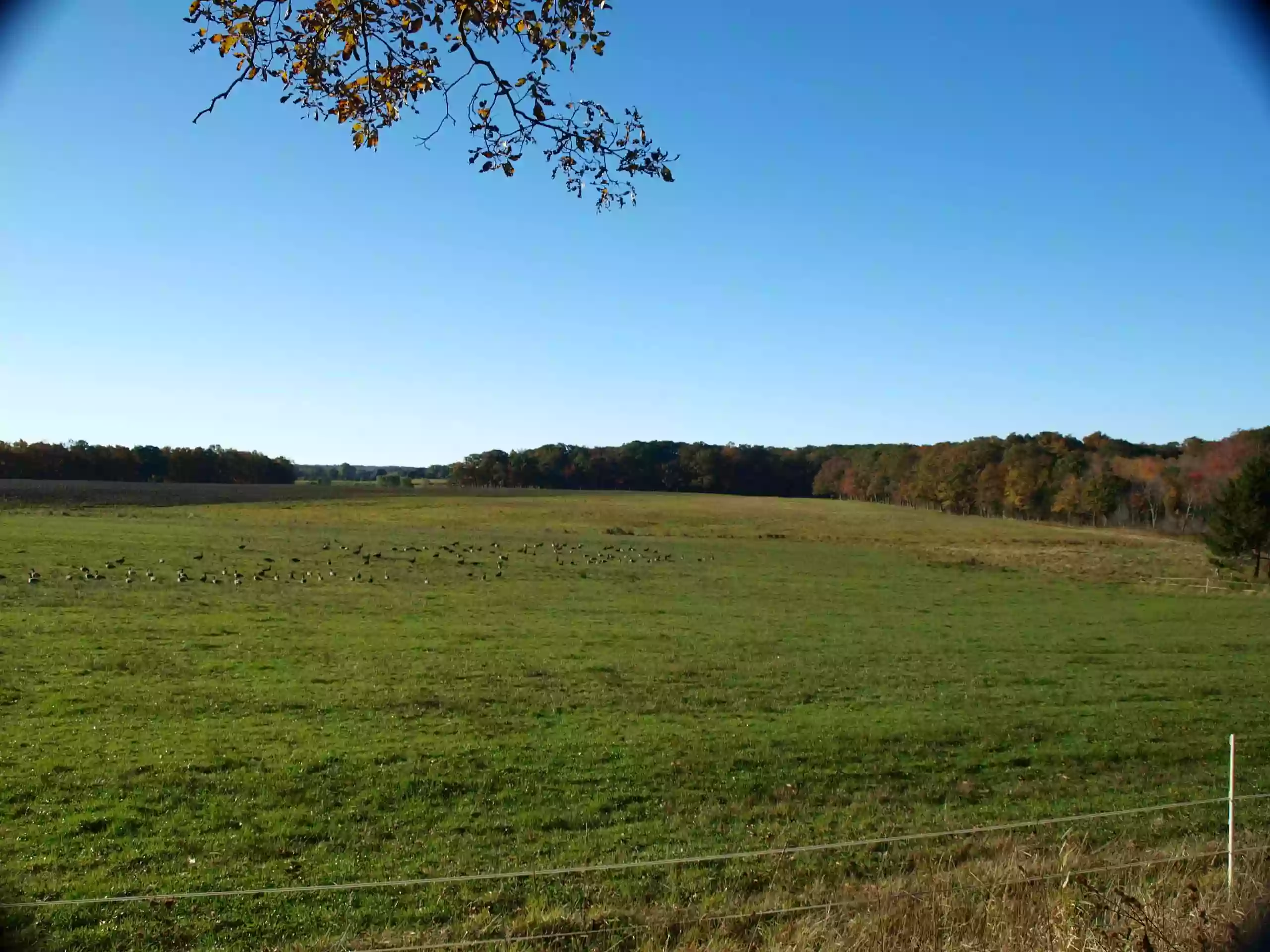 Maplecroft Farm Trail