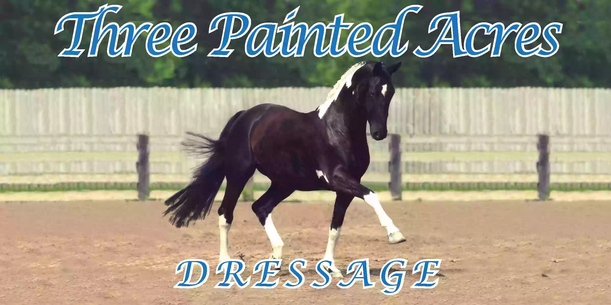 Three painted acres dressage