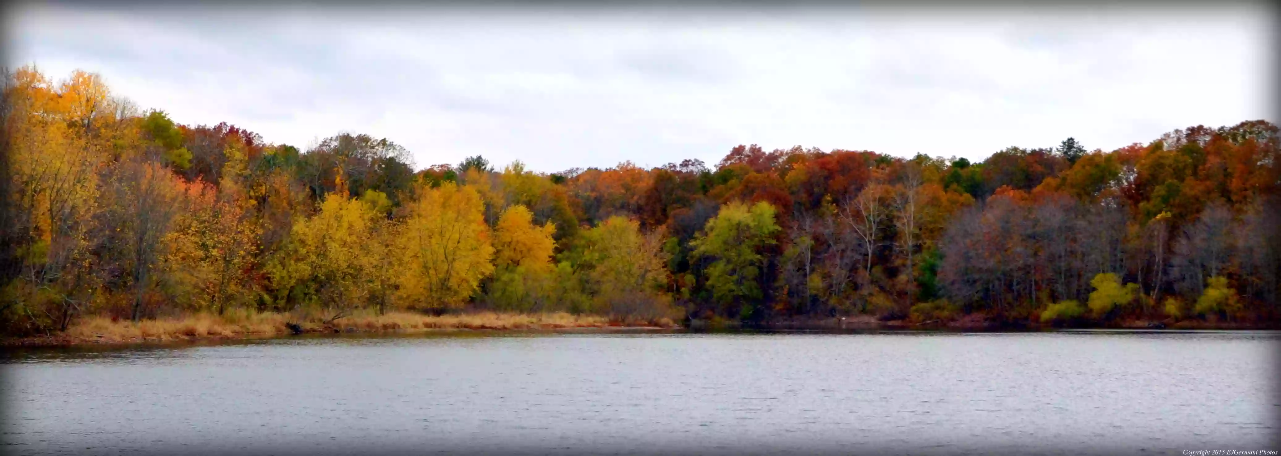 Gammino Pond Preserve