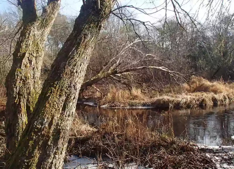 Shoolman Nature Preserve