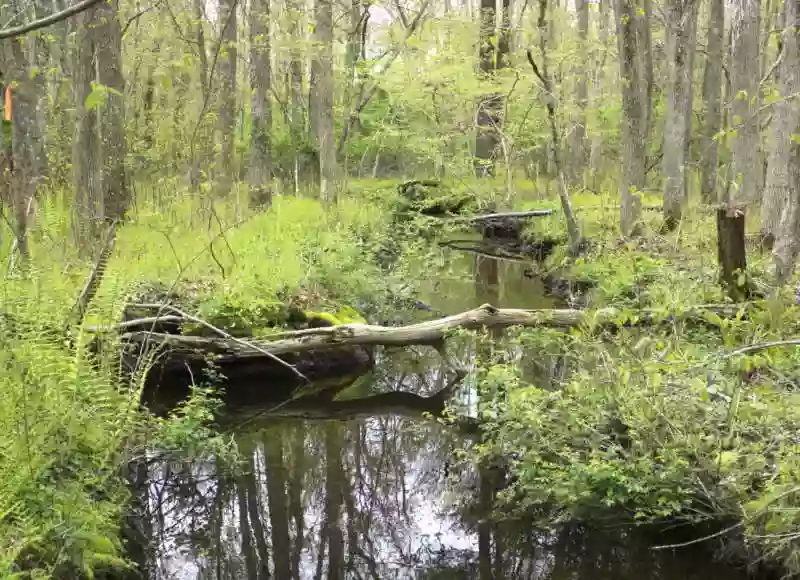 Carvalho Farm Trail - Buzzards Bay Coalition