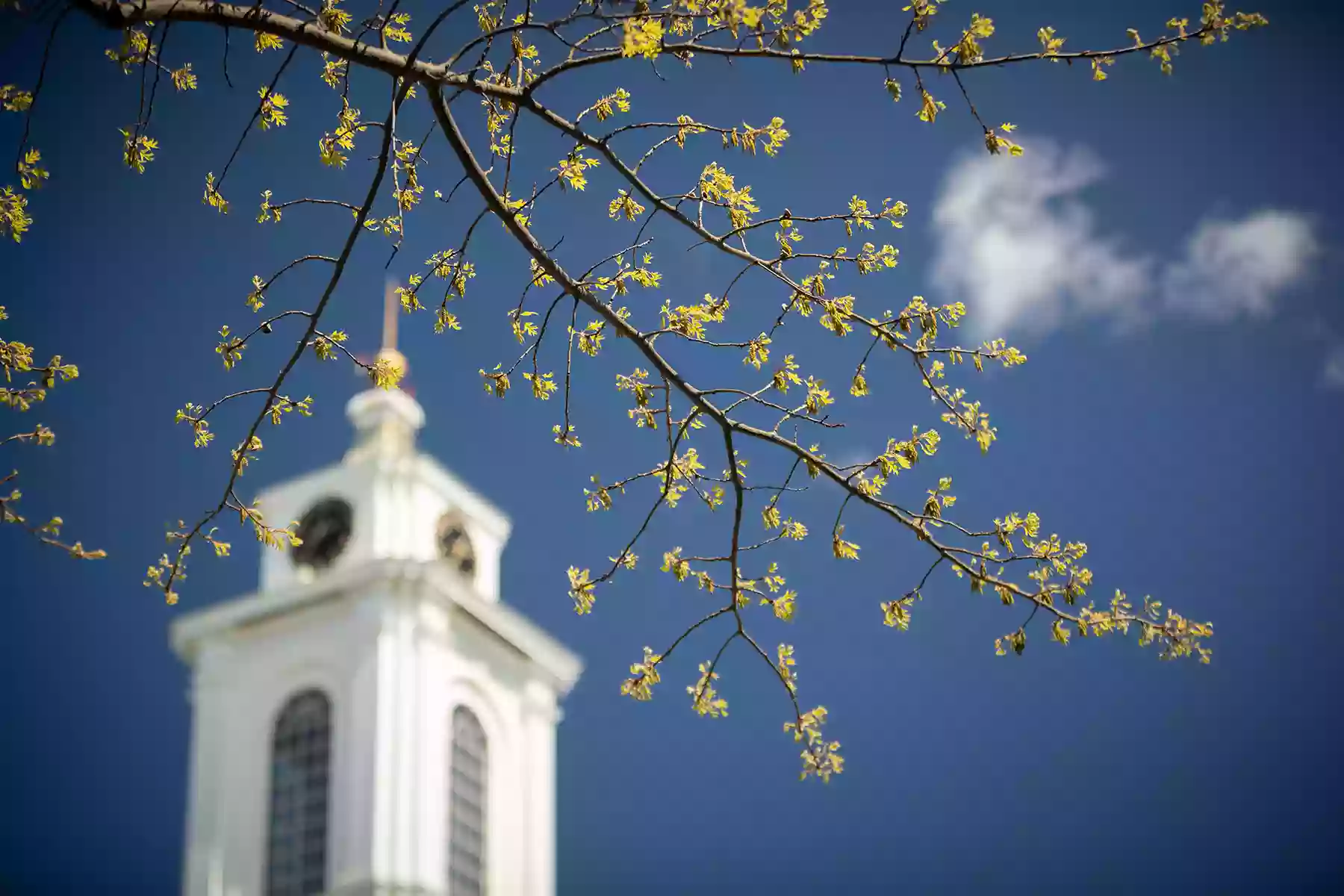 Bentley University Library