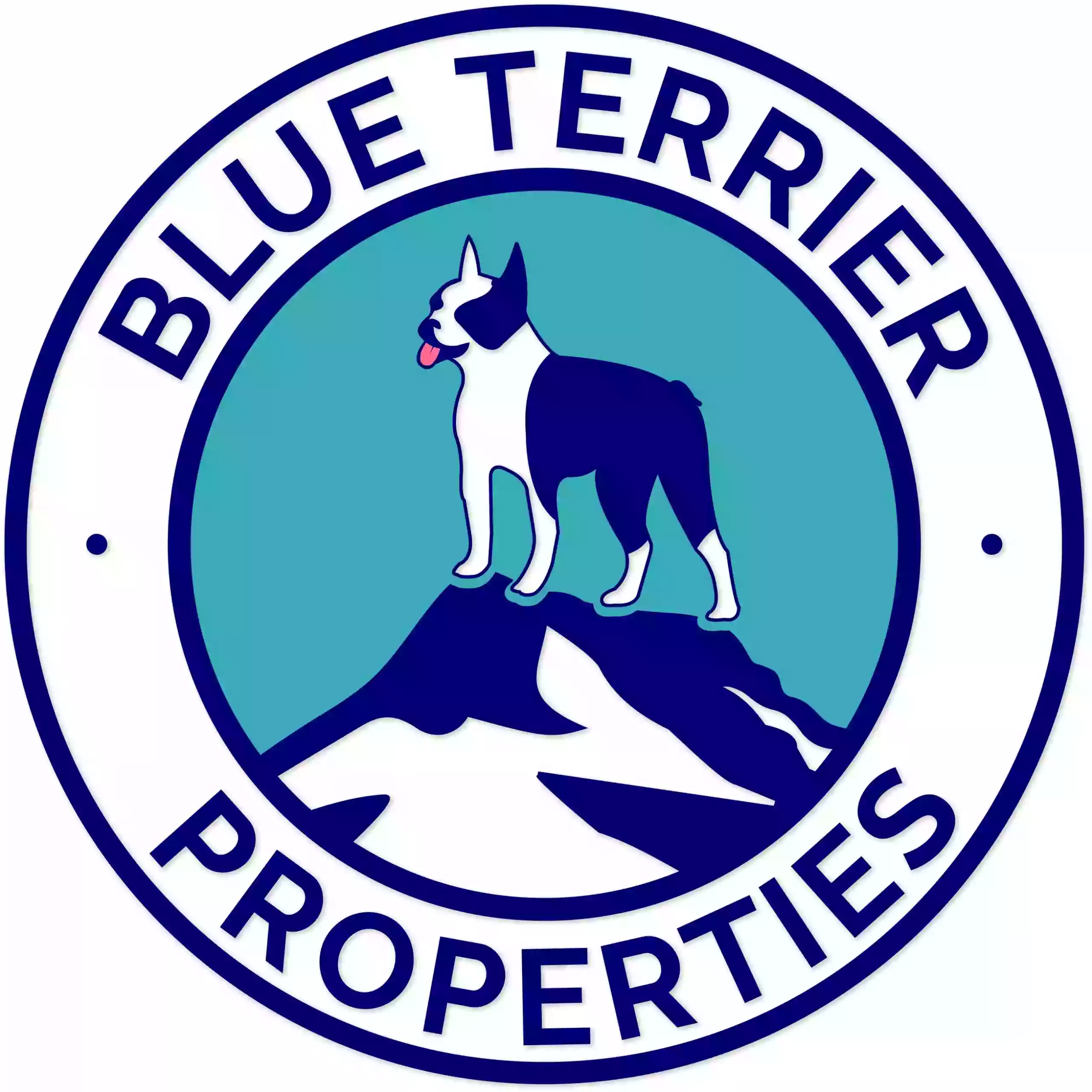 Blue Terrier Properties