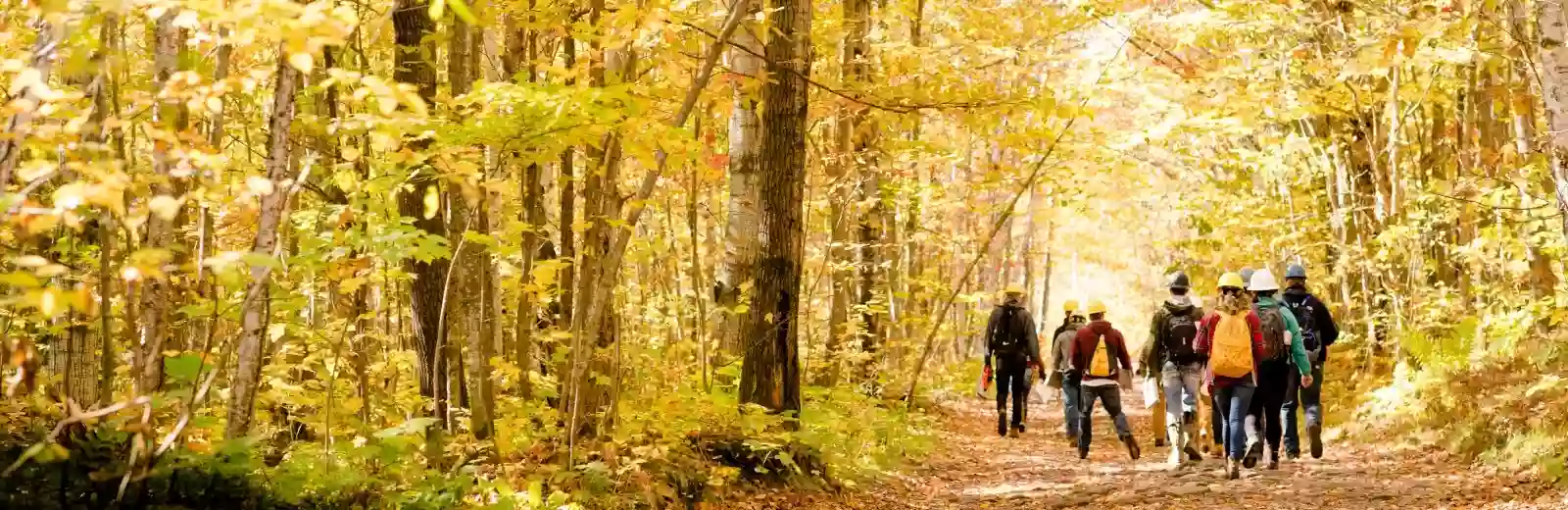 College of Forest Resources and Environmental Science