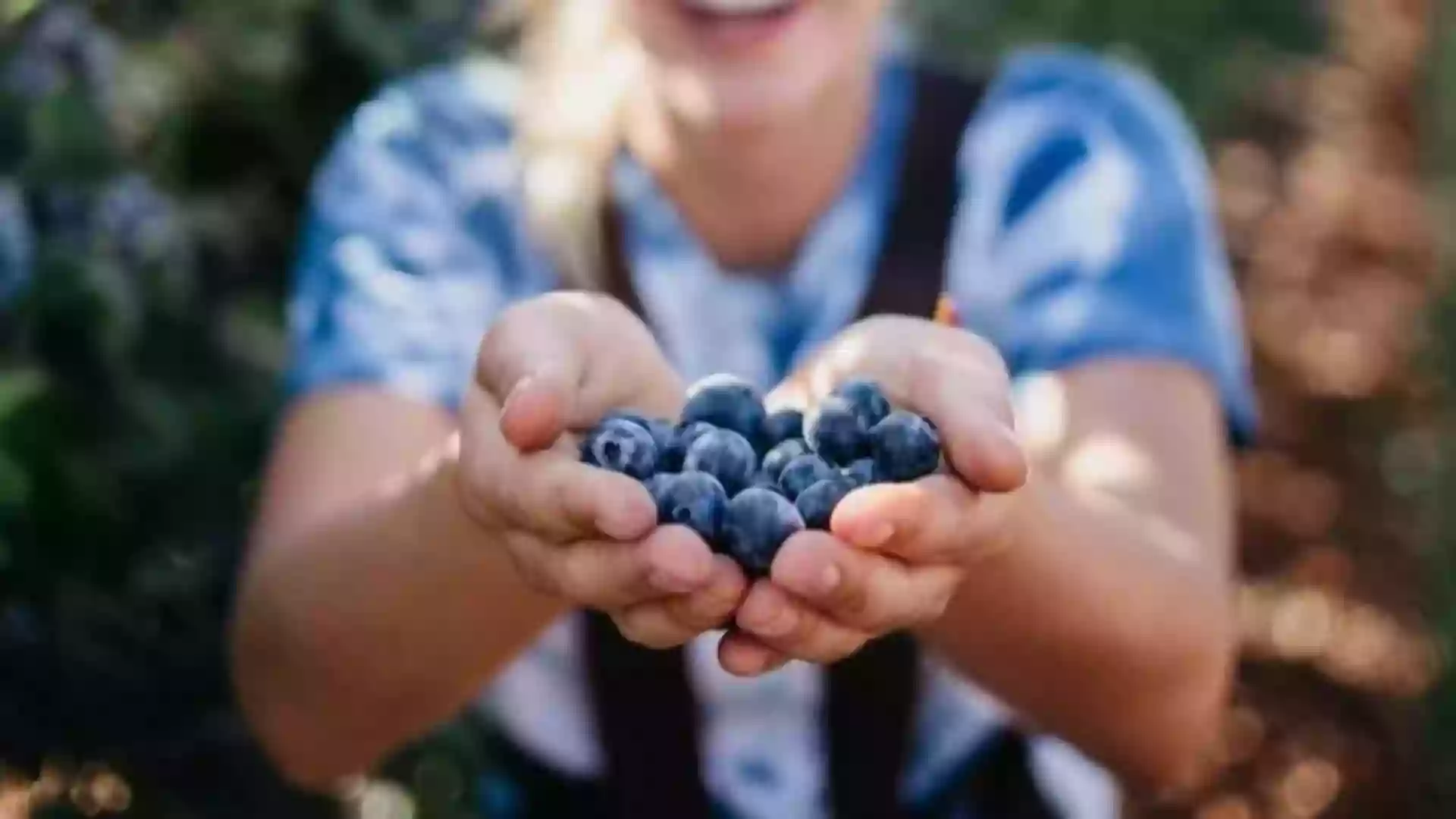 Leduc Blue Berries