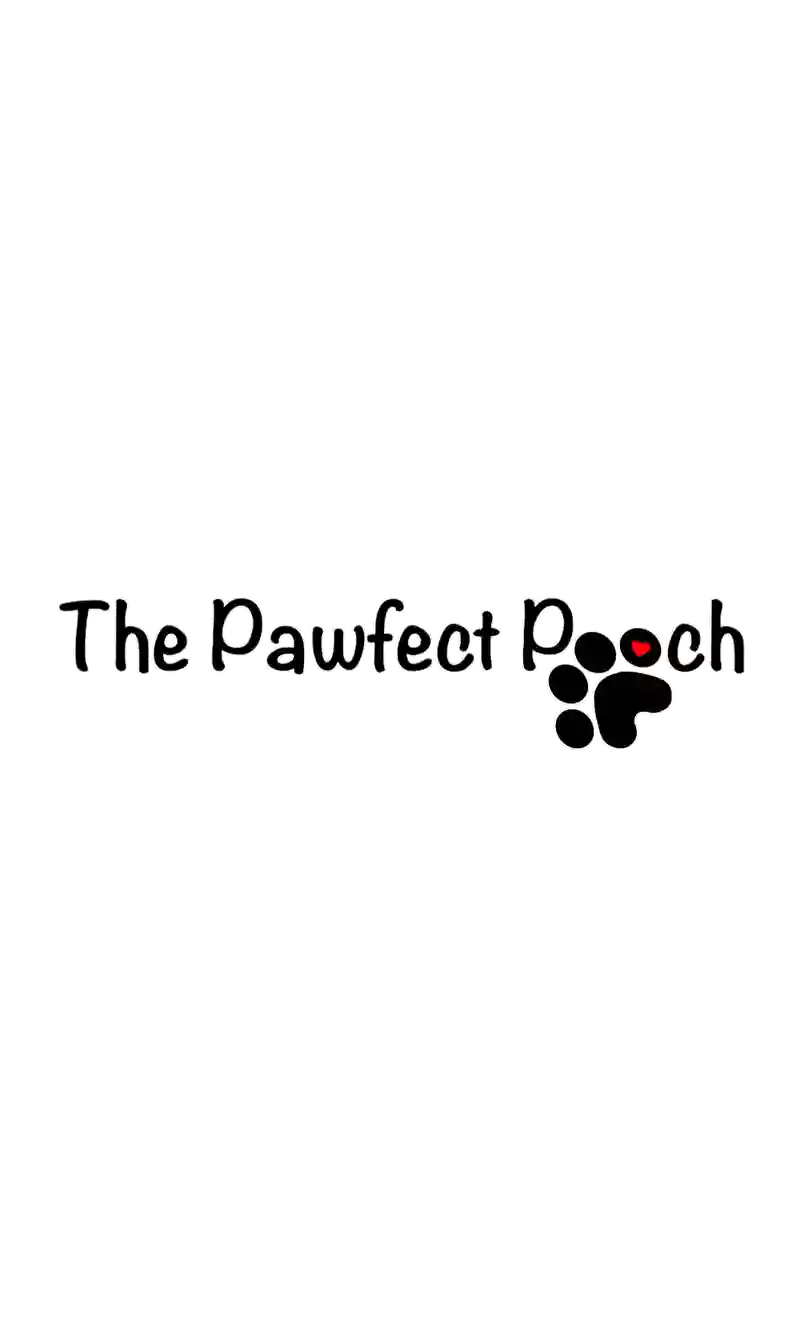 The Pawfect Pooch