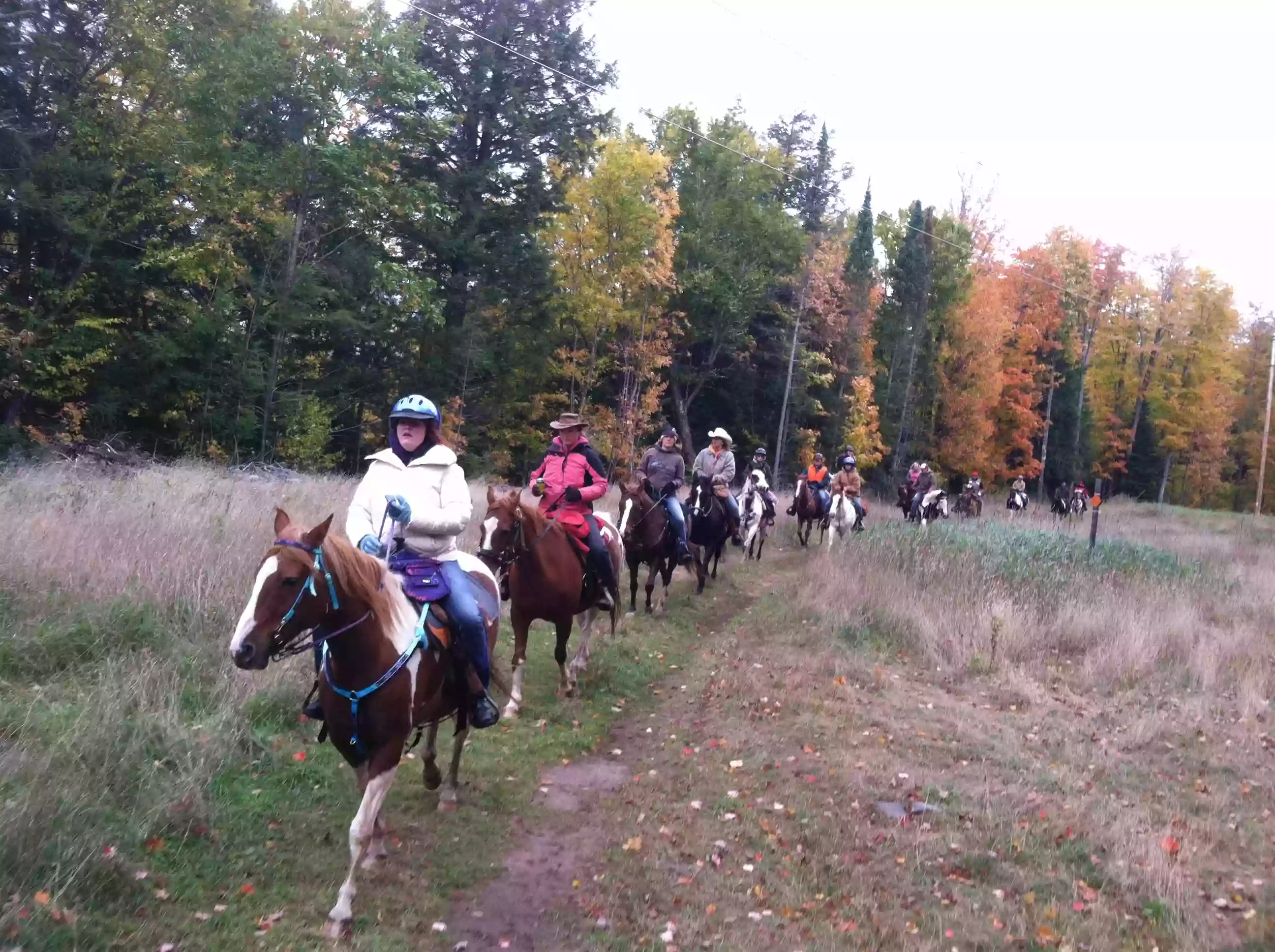 Coppler Farm Equine Services