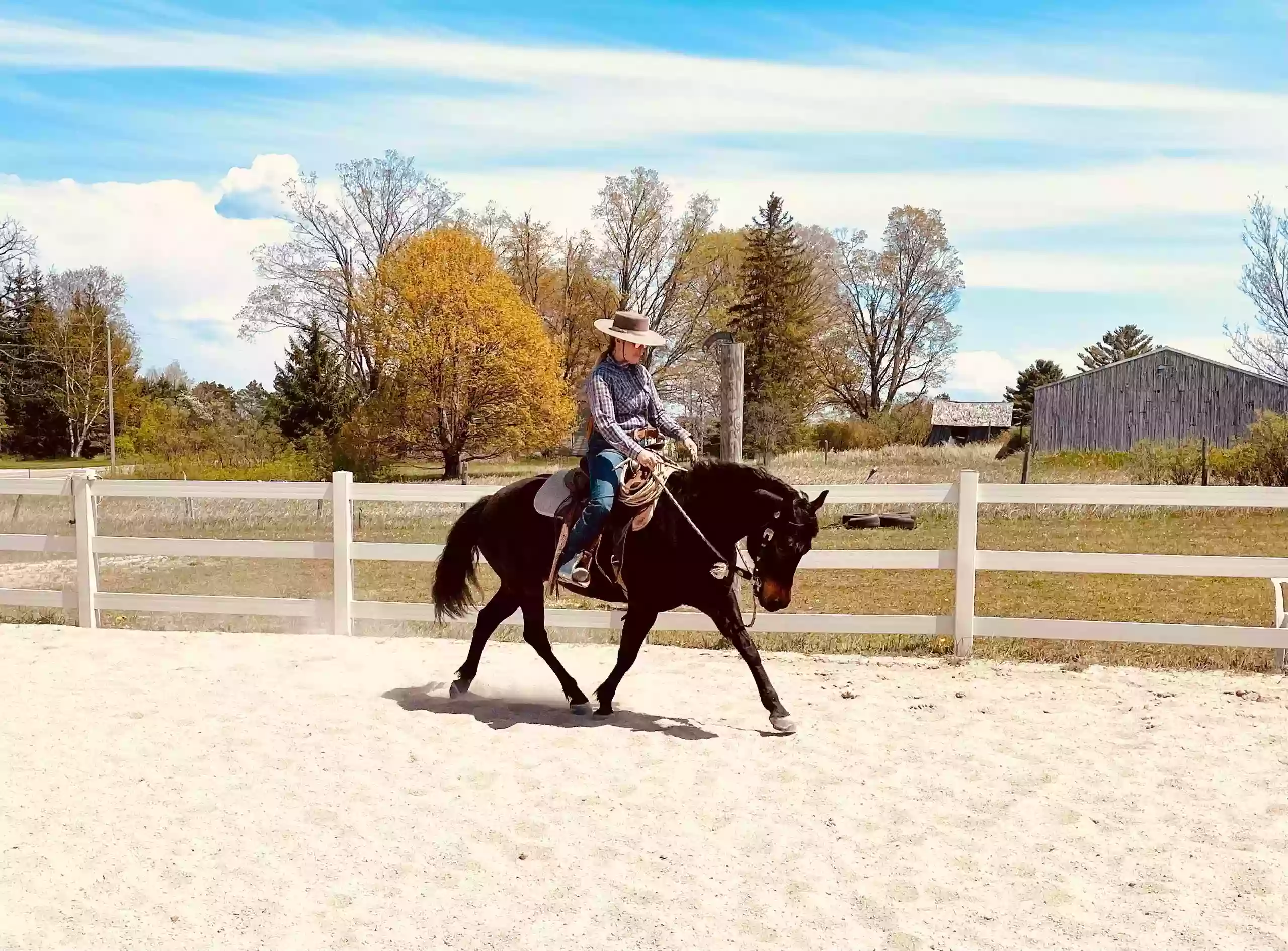 Ellie Bricker Horsemanship