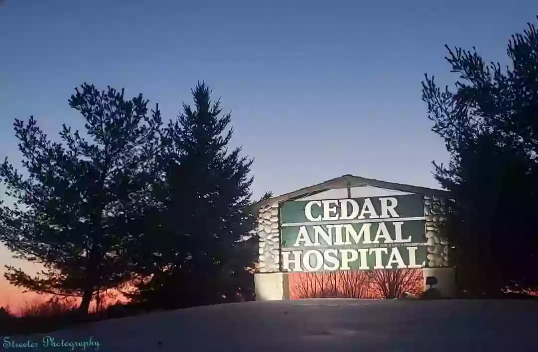 Cedar Animal Hospital
