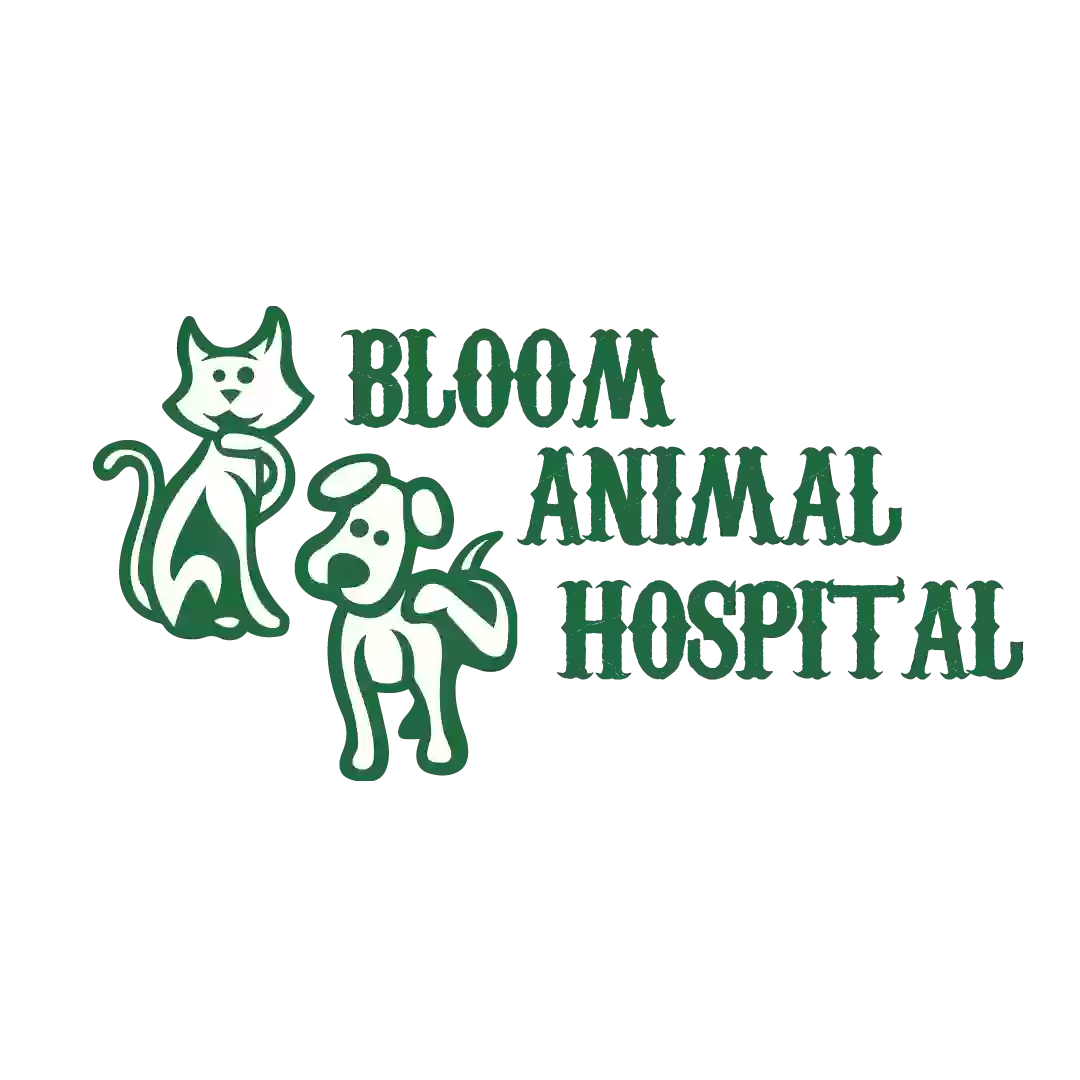 Bloom Animal Hospital: Kelly Flannigan DVM