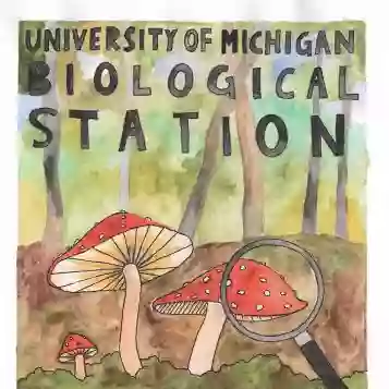 University of Michigan Biological Station