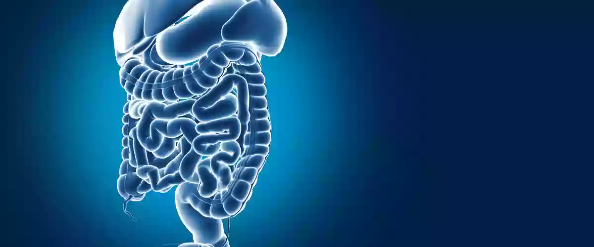 Gastroenterology | University of Michigan Health-West