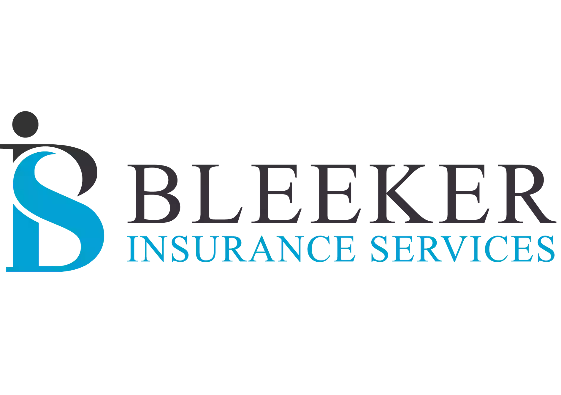 Bleeker Insurance Services