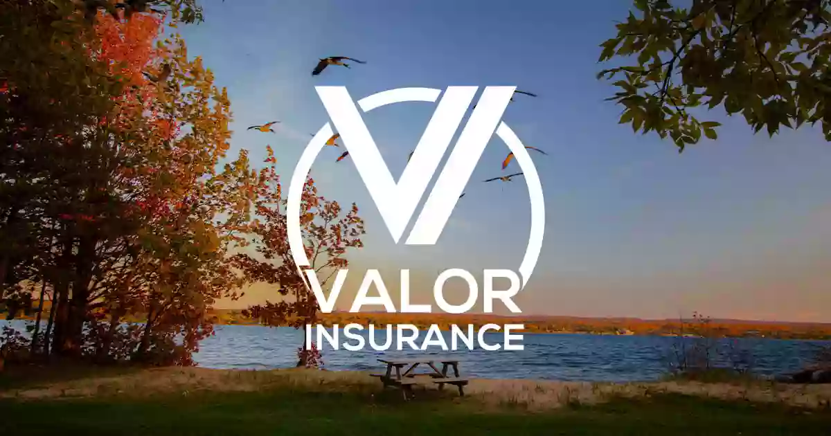 Valor Insurance Group