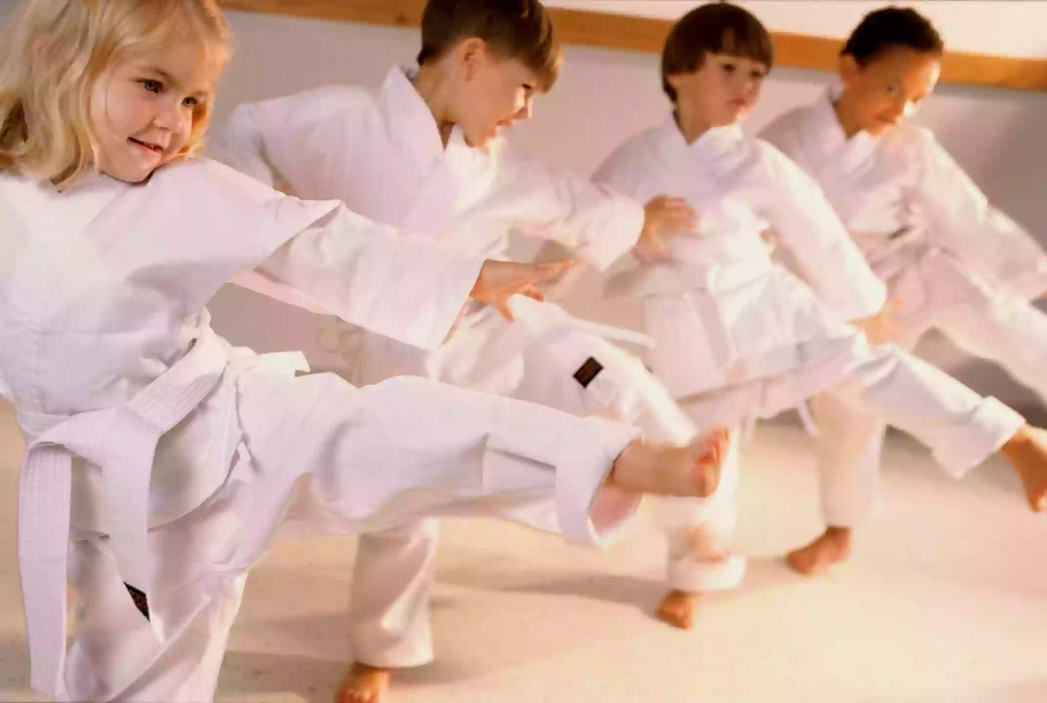 Kil's Taekwondo Center Novi